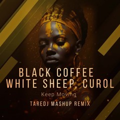 Black Coffee  White Sheep, Curol -  Keep Moving  ( TareDj Mashup Remix )