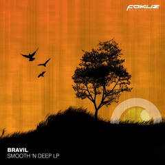 Bravil - Shifting Format
