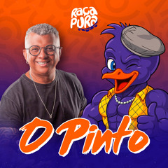 O Pinto