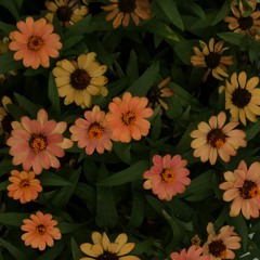 08/52 (Gui Jam) 04032024