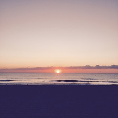 Back In The Sun
