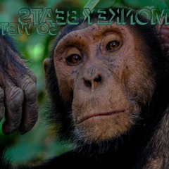 So Wet – Monkey Beats (Liberated Abemix)