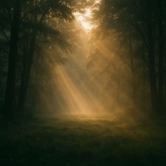 Awakened