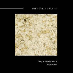 Tony Hoffman - Insight