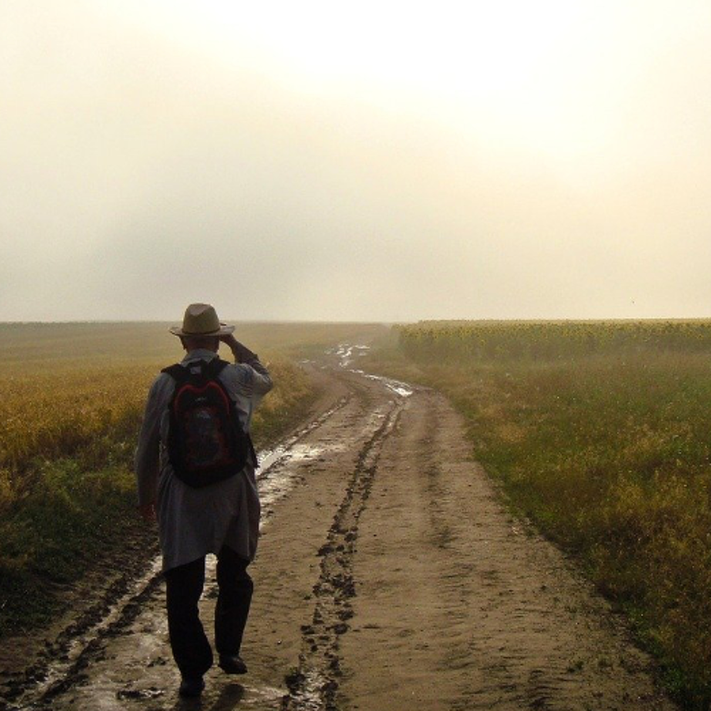 A Journey Into The Great Unknown