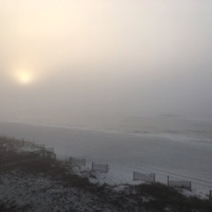 Images From A Shrouded Screen