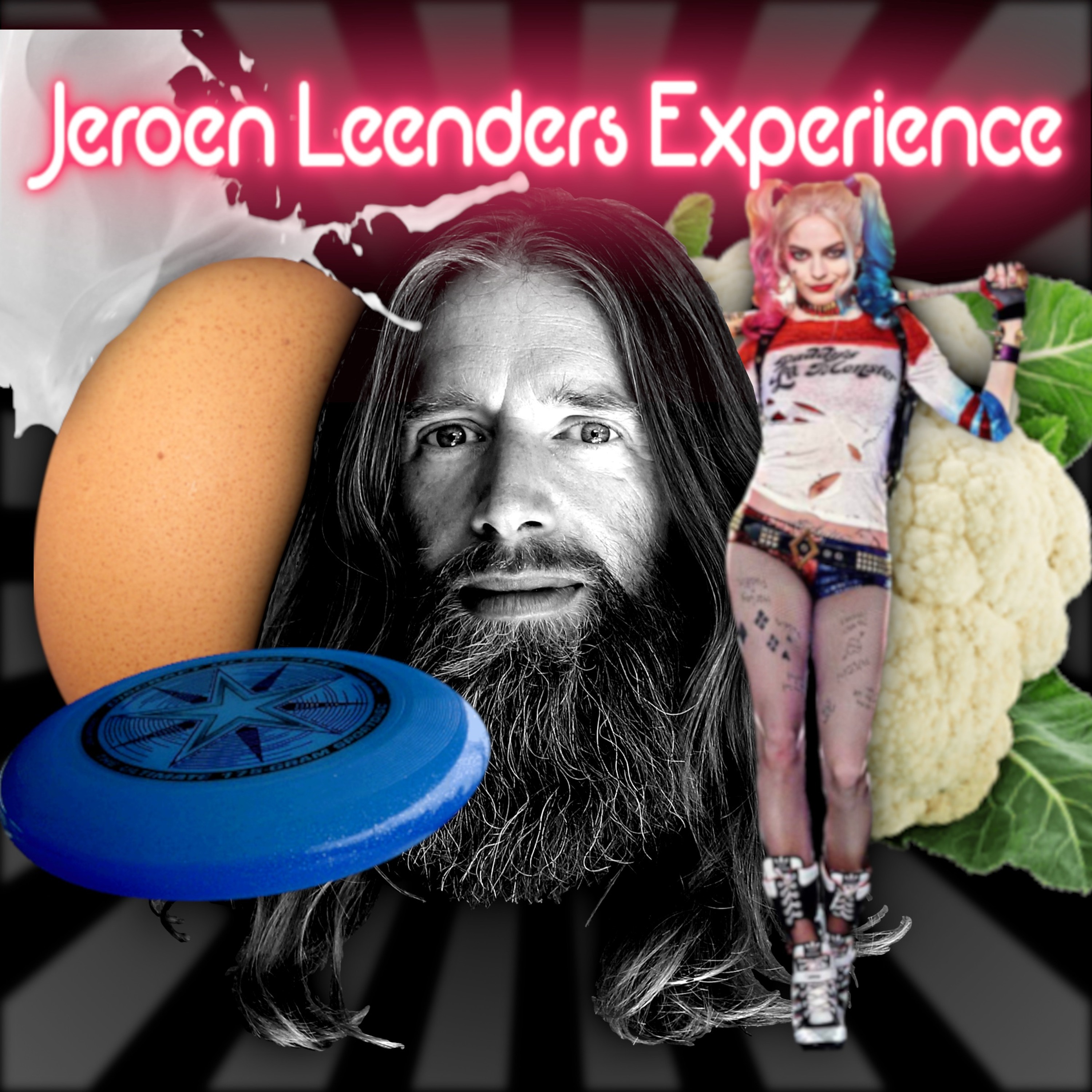 Jeroen Leenders Experience