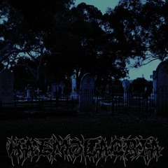 Restlessness Amongst The Silent Wraiths