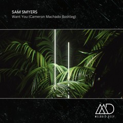 FREE DOWNLOAD: Sam Smyers - Want You (Cameron Machado Bootleg)