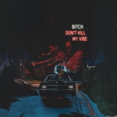 Bitch Don't Kill My Vibe
