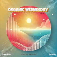 Organic Wednesday | Organic House Set | DJ KawaiSky