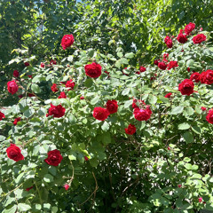 Конец былины