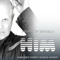 A Flock Of Seagulls - Him (Extended Mollem Studios Version)