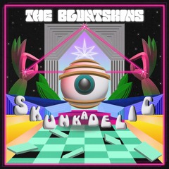 The Bluntskins - VR