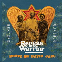 Reggae Warrior (Ed Solo & Stickybuds Remix)