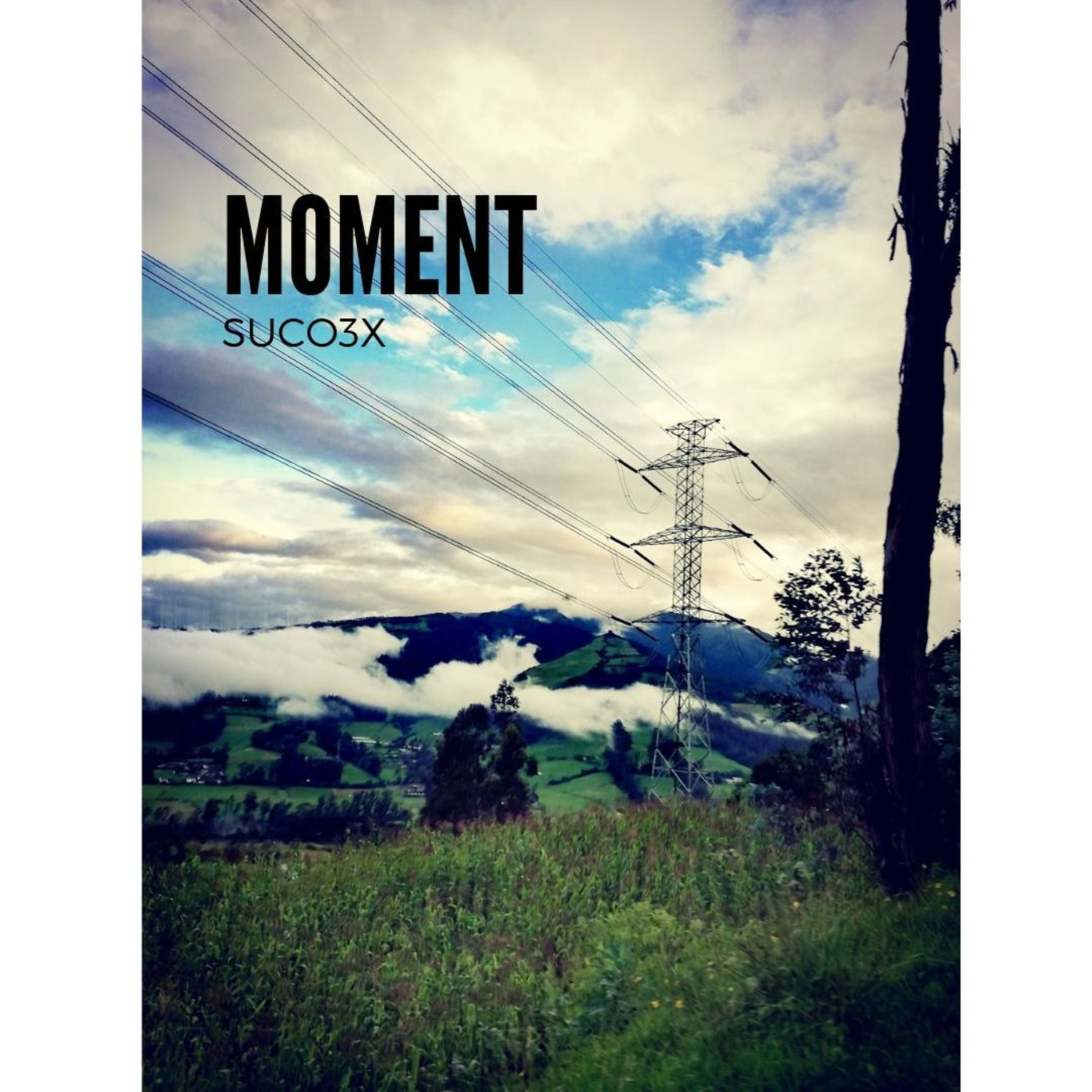 Track cover