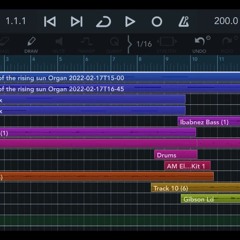 - House of the rising sun ( Instrumental )