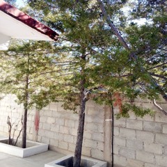 Generación 12 _ Cantar de Tu Amor