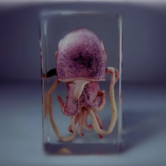 ♯#♯zoomoutʇ🫧