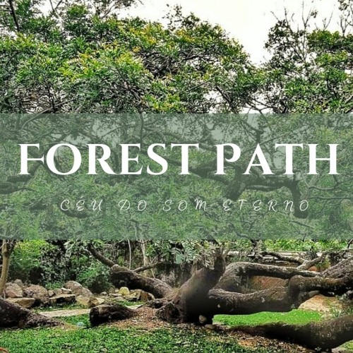 Ayahuasca Curandera | Forest Path #177