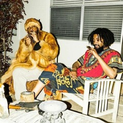 JPEGMAFIA x DannyBrown - Fentanyl Tester(StereoSerumRmx)