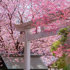 ‎‎wandering