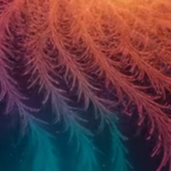 A stars Collapse