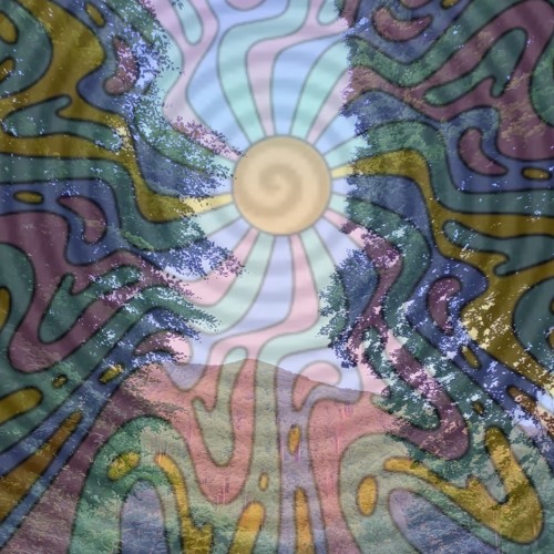 acid voices (live extract)