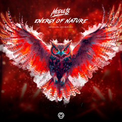 Modul8 - Energy Of Nature (Rushcore 2025 Anthem)