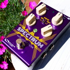 Spectrum Intelligent Filter: Fork Tongue Fuzz