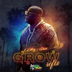 EDLEY SHINE - GROW REFIX EDIT