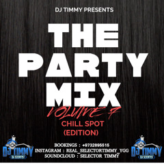 THE PARTY MIX VOLUME 7 (CHILL SPOT EDITION)