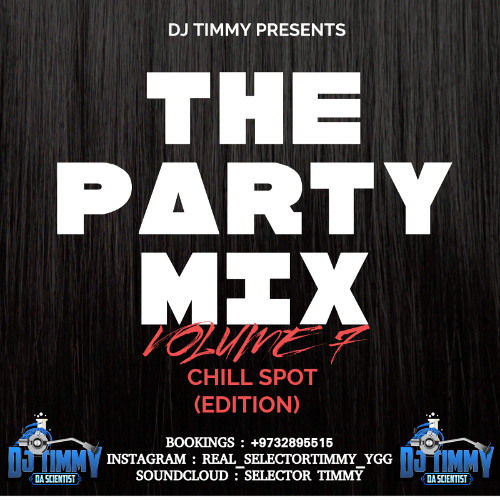 THE PARTY MIX VOLUME 7 (CHILL SPOT EDITION)