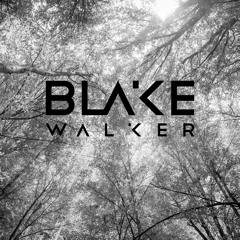 Blake Walker presents : Summer Mix 2023