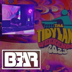 B.E.A.R - Tidyland 2023 Friday Room 3