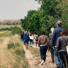 Radio Vaticana - Progetto Santi Paduli nel Parco Paduli in Salento