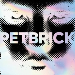 Petbrick - Radiation Facial (Stazma The Jungle Christ Remix)