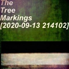 Ughten - The Tree Markings [Boson Spin warp]