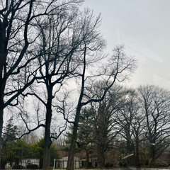 NO FRONTS-ft PACKSOHEAVY & FEBPHONZO