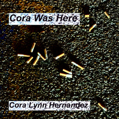 Cops Almost Tazed Me