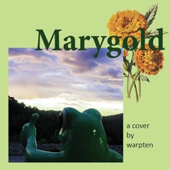 Marygold (by Warpten)