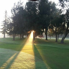 もしかしたら良くなるかもしれない