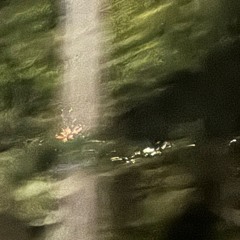 buenoparati (+driskk)