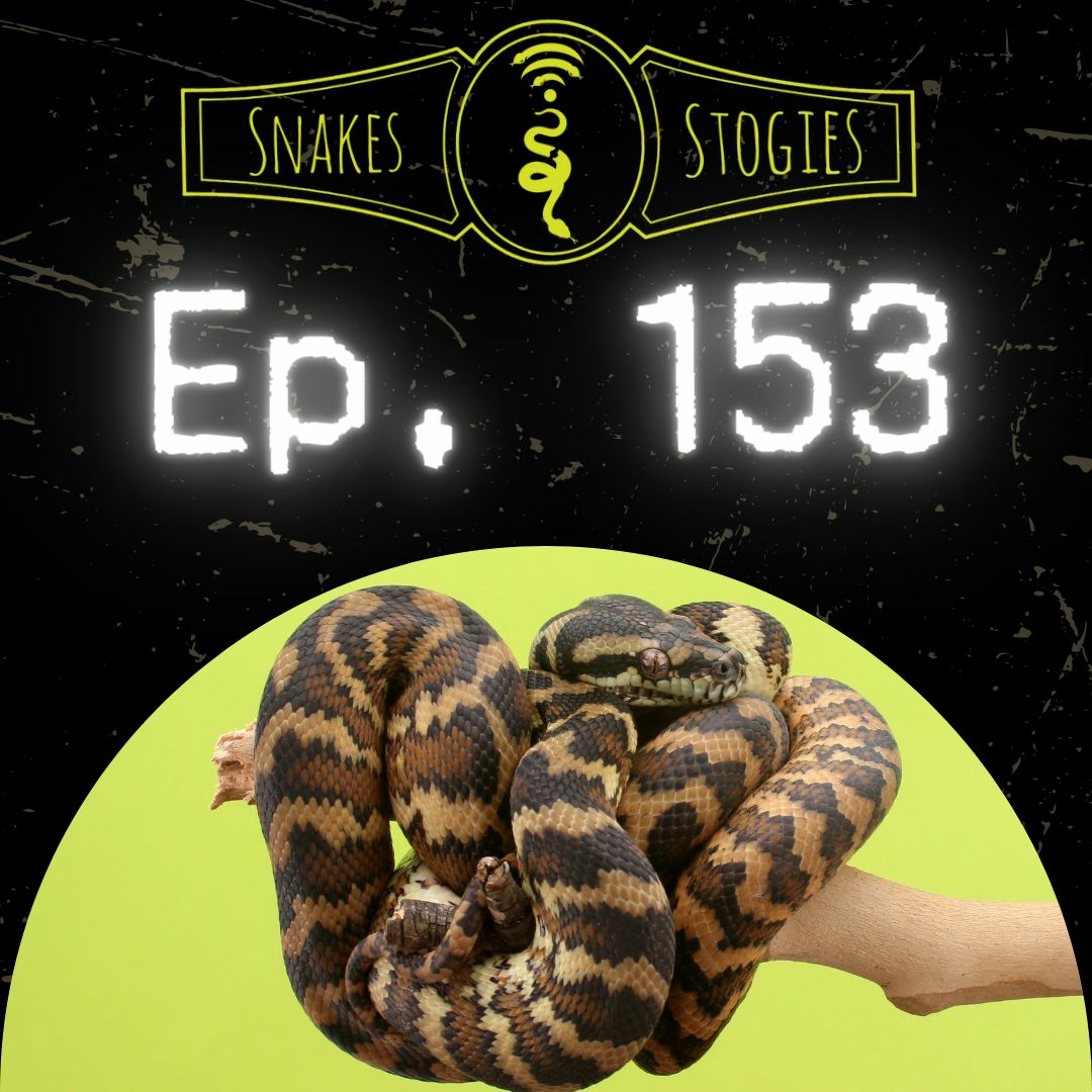 Slate Reed Raffle Drawing | Snakes & Stogies Ep. 153