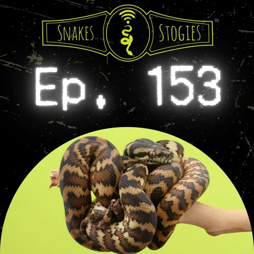 Stream Slate Reed Raffle Drawing | Snakes & Stogies Ep. 153 by The ...