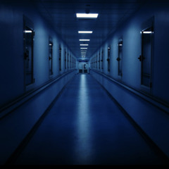 Asylum