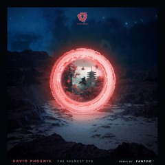 David Phoenix - The Keenest Eye (Original Mix) [PREVIEW]