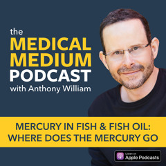 045 Mercury In Fish & Fish Oil: Where Does The Mercury Go