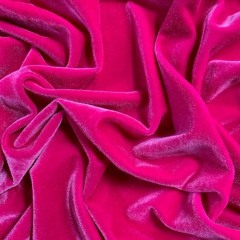 The Golden Dream Poodle