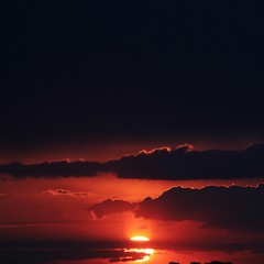 Dawn